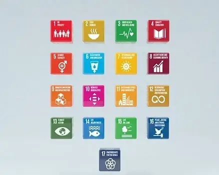 Agenda 2030 e attività fisica